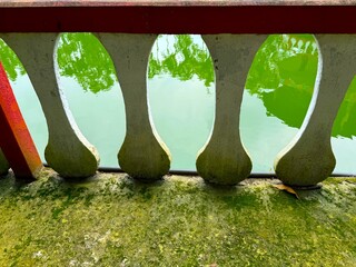 Closeup shows concrete balustrade details with vibrant algae and pond water reflects trees