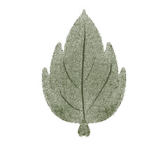 낙엽,가을,단풍 수채화그림