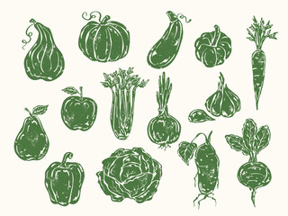 Autumn textured fruits and vegetables set with pear, apple, pumpkin, celery, sweet potato, beet, garlic, onion, zucchini, cabbage, bell pepper and carrot. Rustic hand drawn style