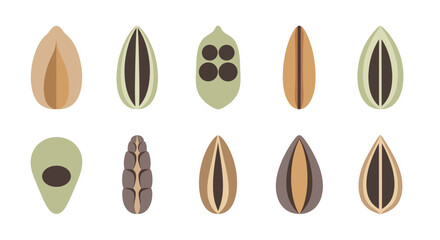 Whirlwind Abstract Vector Art Modern Swirls Minimalist Background