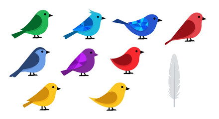 Colorful Birds and Feather Illustration