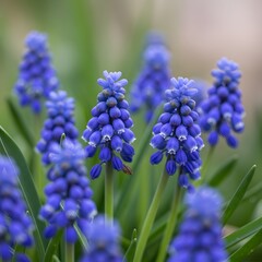  Discover Beautiful Blue Spring Flowers in Bloom