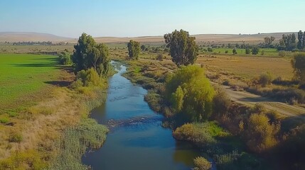 Picturesque aerial view of a serene river winding through a lush landscape on a sunny day