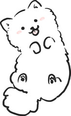 おなかを見せて笑顔のポメラニアンのイラスト　犬のイラスト