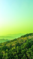 Obraz premium A lush green forest teeming with vibrant foliage, towering trees, and dappled sunlight, set against majestic mountains rising in the background.