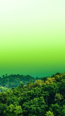 Fototapeta premium A vibrant green sky looms over a lush jungle, casting an ethereal glow on the dense canopy of trees, creating a surreal and enchanting atmosphere.