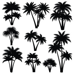 Vector illustration of collection of palm trees in silhouette