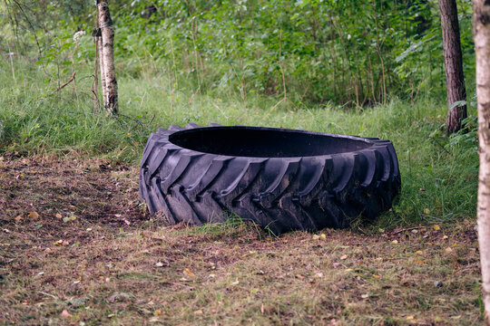 Large black tire sits in a grassy clearing surrounded by trees in a peaceful forest setting during daylight hours