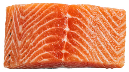 High Quality Fresh Salmon Fish Fillet for Seafood Cuisine Isolated on White