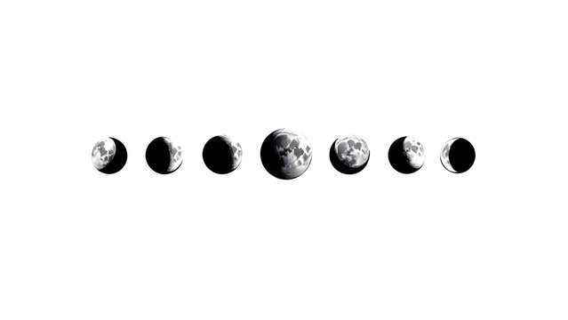 Illustration of the lunar phases in a grayscale format on a white background showing the moon cycle