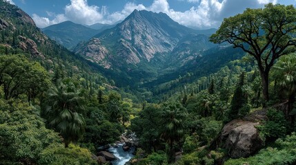 Obraz premium Valley vista over lush green terrain toward distant mountain peak