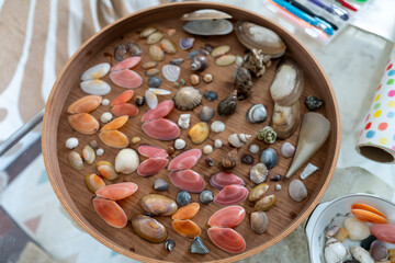 Decorative Shell Collection on Wooden Tray