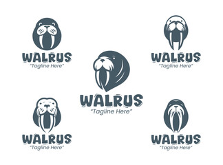 5 Walrus Logo Set Modern Minimalist Animal Brand Design