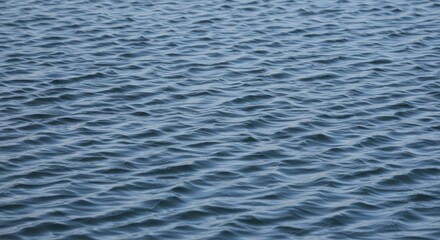 Obraz premium Rippling Water Surface - Serene Blue Texture