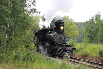 Obraz premium steam train in the forest