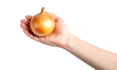 A hand holds a single golden onion in its palm.