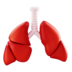 3D Render 3D red lungs model with trachea; ideal for medical education, anatomy content, health marketing.