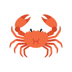 Orange crab illustration seafood marine life ocean animal crustacean isolated vector graphic