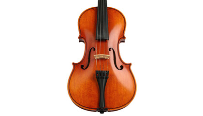 Obraz premium A polished wooden violin stands out against a stark black background, showcasing rich warm tones and intricate craftsmanship.