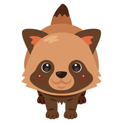 正面から見たタヌキのイラスト