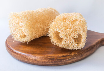 Shower bath sponge isolated on white background. Accessory for washing, personal hygiene, body care