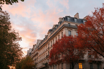 Obraz premium 가을의 거리