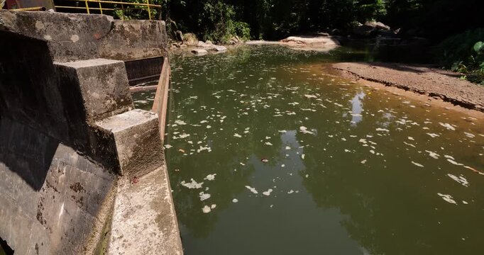 Small filtration reservoir with patches of foam floating on fresh jungle river water, located above Lubuk Teja waterfall. Water intake dam supplies small hydroelectric power station at Tioman