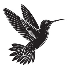 black hummingbird Silhouette Vector, High Quality Illustration on White Background