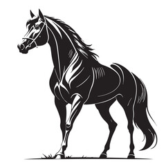 black horse racing Silhouette Vector, High Quality Illustration on White Background