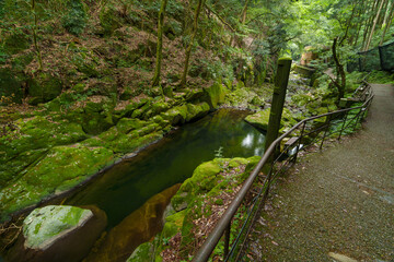 赤目四十八滝　散策路