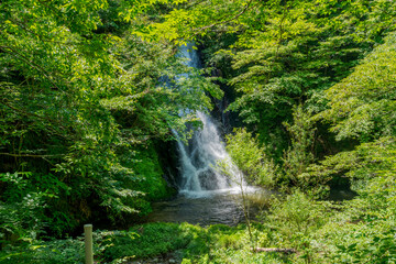 行司ヶ滝　福島