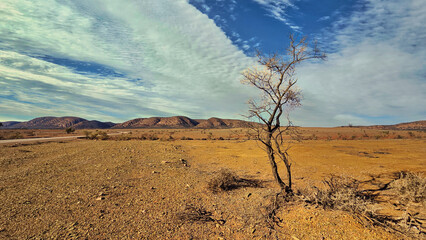 Naklejka premium This photo captures a striking, arid landscape with a strong foreground tree and expansive open dramatic sky