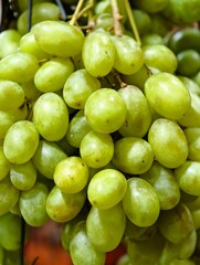 Fresh Green Grapes Bunch Close-up.
