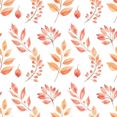 Autumn leaves isolated on transparent background