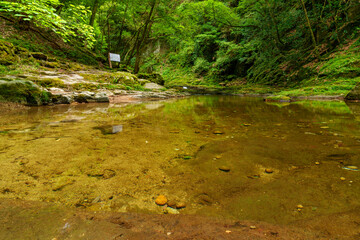 赤目四十八滝　散策路