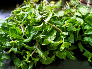 Fresh Mint Leaves (Pudina) on wooden table