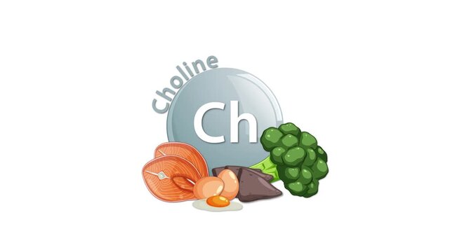 Choline Symbol Animation with Nutritious Food Sources