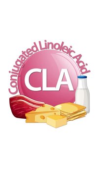 Conjugated Linoleic Acid Sources Animation With Meat, Cheese, Milk