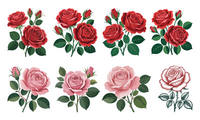 Red and Pink Roses Vector Illustration Set