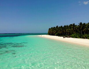Fototapeta premium Pristine tropical beach with turquoise water
