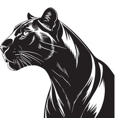 black leopard Silhouette Vector, High Quality Illustration on White Background