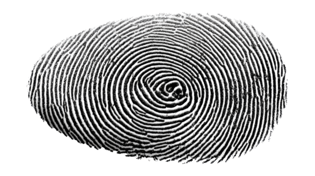 Fingerprint Close-up: A macro shot revealing the intricate details of a human fingerprint, an emblem of identity, individuality, and uniqueness. A symbol of identity.