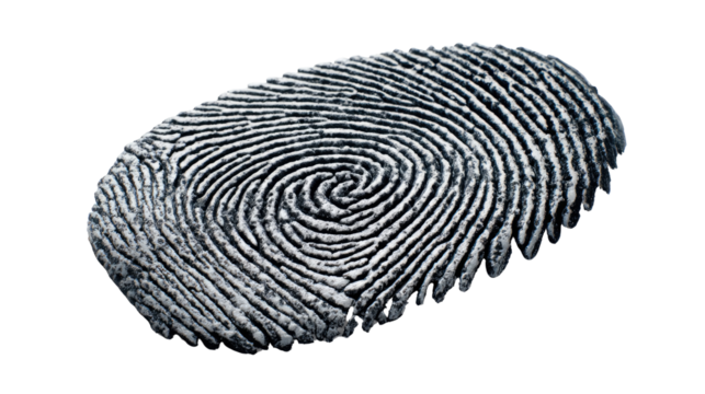 Intricate Fingerprint: A detailed capture of an individual's unique fingerprint, a symbol of identity and forensic science.