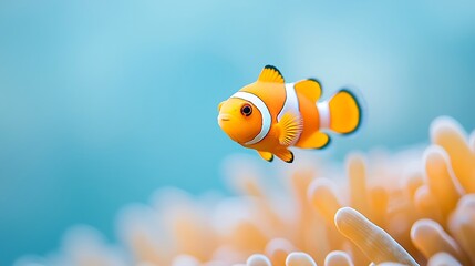 Vibrant clownfish swimming amongst orange anemone tentacles