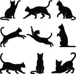 Silhouettes of cats in various poses, sitting, standing, stretching, jumping, walking, playful feline actions, pet care concept, animal illustration design