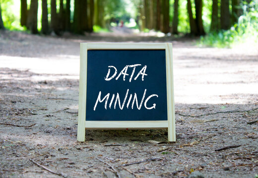 Data Mining symbol. Concept word Data Mining on chalk blackboard. Beautiful forest background. Business and Data Mining concept. Copy space.