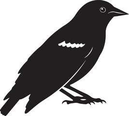 Black silhouette of a starling bird on white background