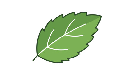 Simple Green Leaf Illustration with Detailed Veins for Botanical Studies and Environmental Graphics, Ideal for Nature-themed Designs and Educational Materials