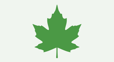 Fototapeta premium Green Maple Leaf Silhouette on White Background, Symbolizing Nature and Canadian Identity for Graphic Design and Patriotic Visuals