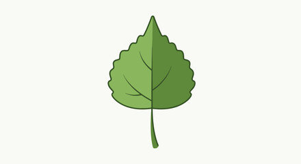 Detailed Green Leaf Illustration with Serrated Edges and Subtle Shading, Perfect for Educational Materials and Botanical Designs or Environmentally Conscious Project